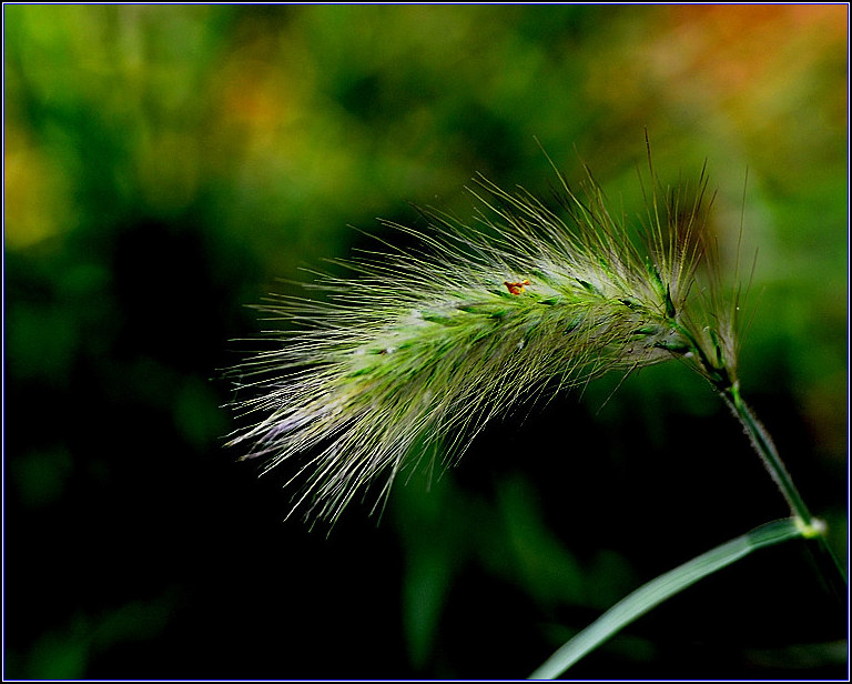 DSC_5705_����-2.jpg