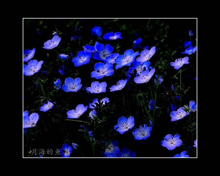 DSC_5696_����.jpg