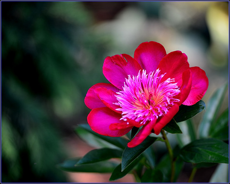 DSC_5890-2_.jpg