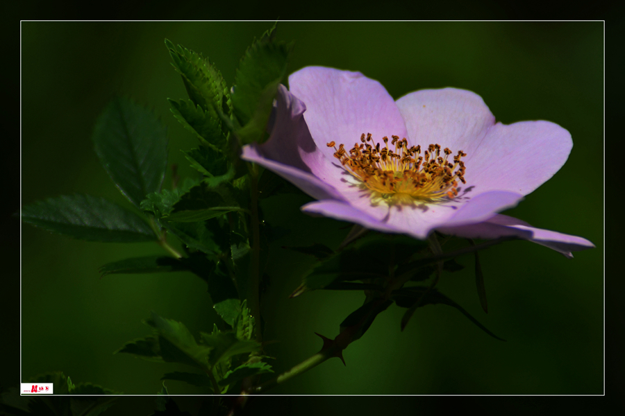 DSC_2389_����.jpg