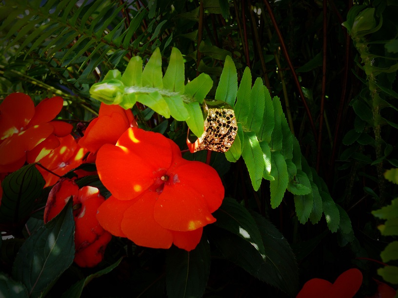 L1590157.JPG