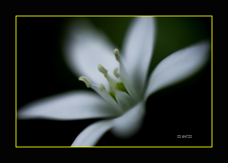 DSC_5987C1.jpg