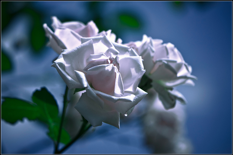 _DSC3358_����_����.jpg