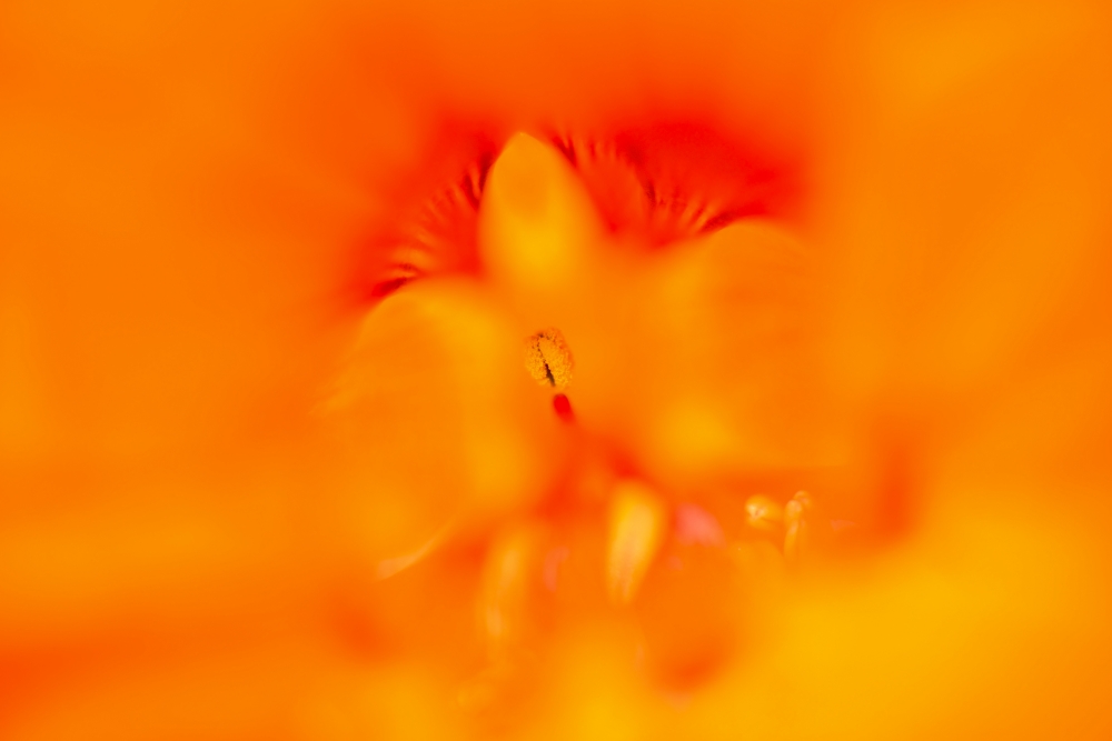 _DSC6015_1_01.JPG