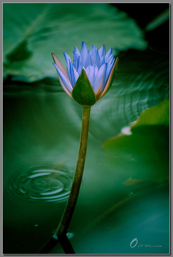 ˯��-001.jpg