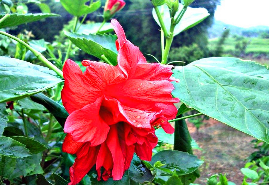 Ƭ-0022.jpg