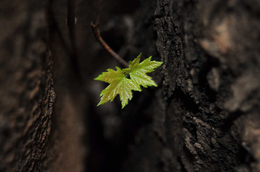 DSC_0558_����.jpg