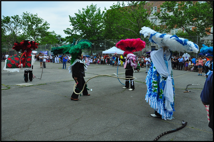 DSC_0799.jpg