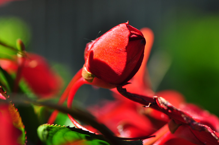 DSC_0011_����.jpg