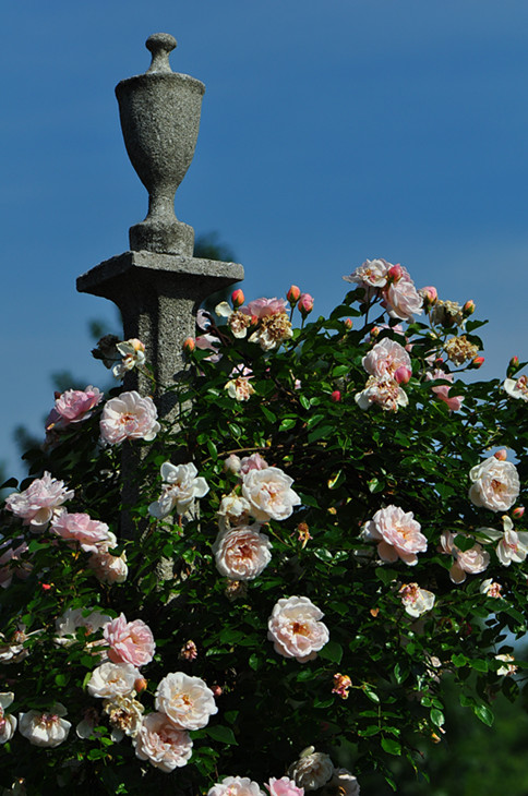 DSC_0306_����.jpg
