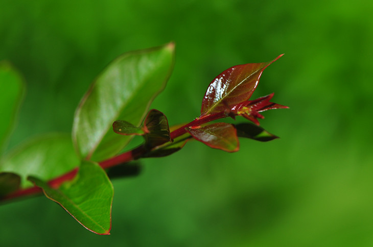 DSC_0023_����.jpg