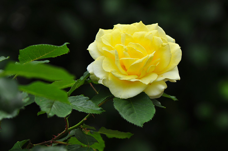 DSC_0957_����.jpg