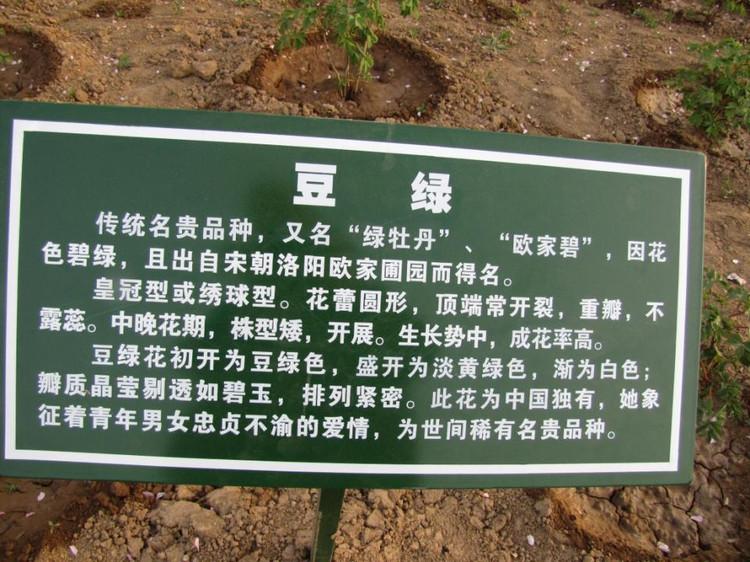 56.jpg