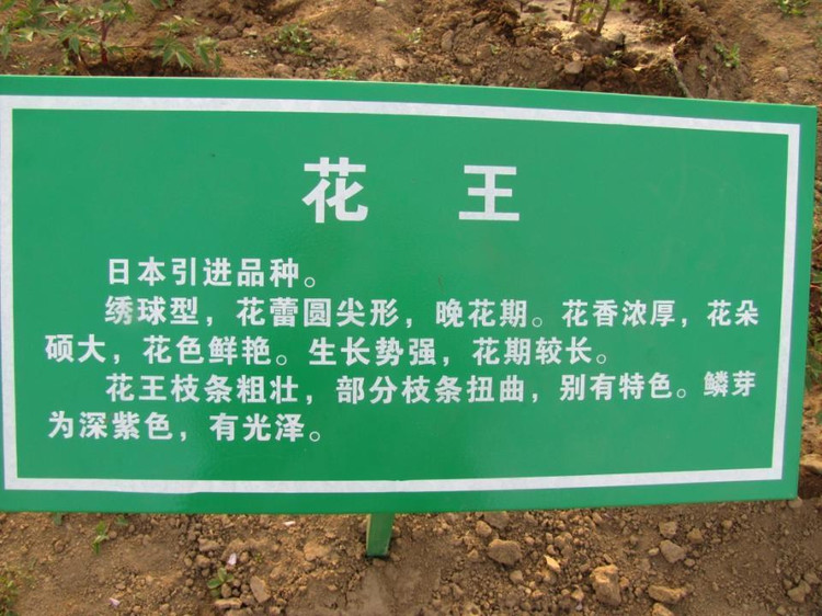 59.jpg