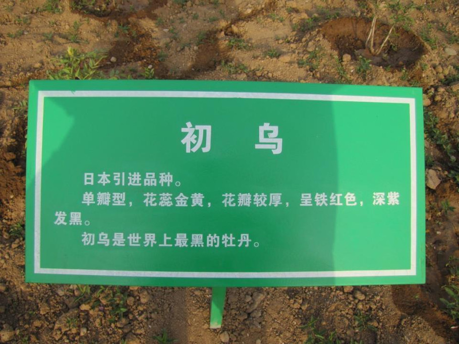65.jpg
