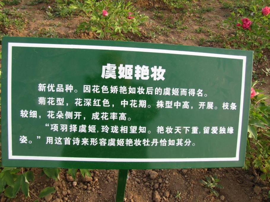 63.jpg