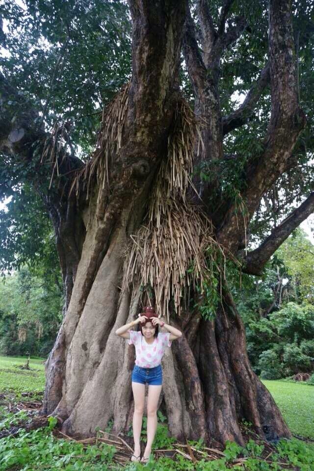 QQͼƬ20140615194710.jpg