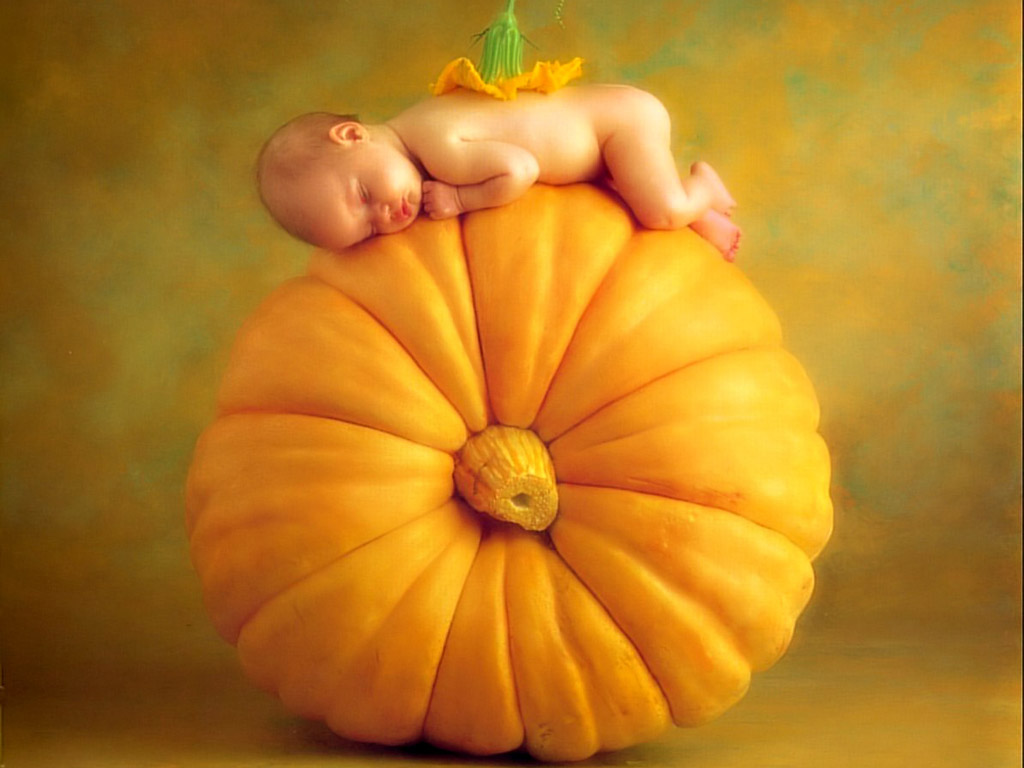 [wall001.com]_baby_clothes_baby_pictures_000[1].jpg