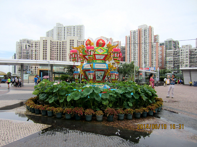 IMG_3824_.jpg