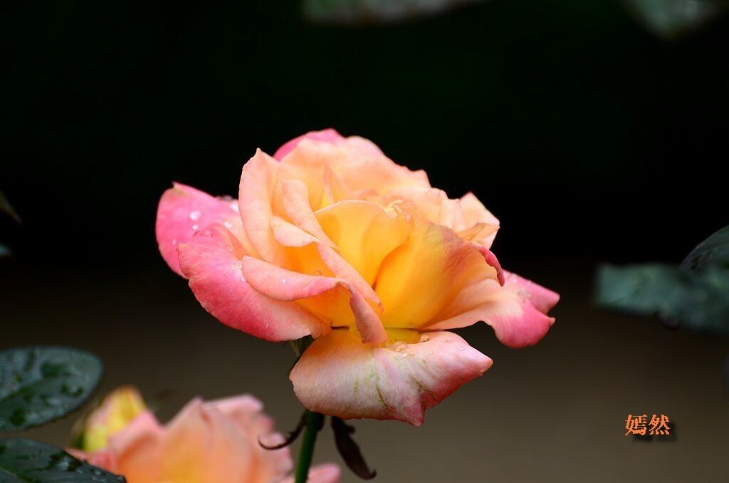 QQͼƬ20140523224010.jpg