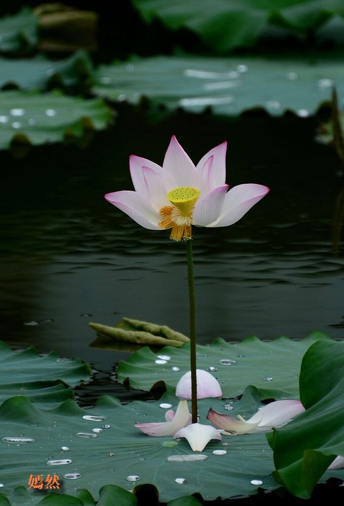 QQͼƬ20140607223251.jpg