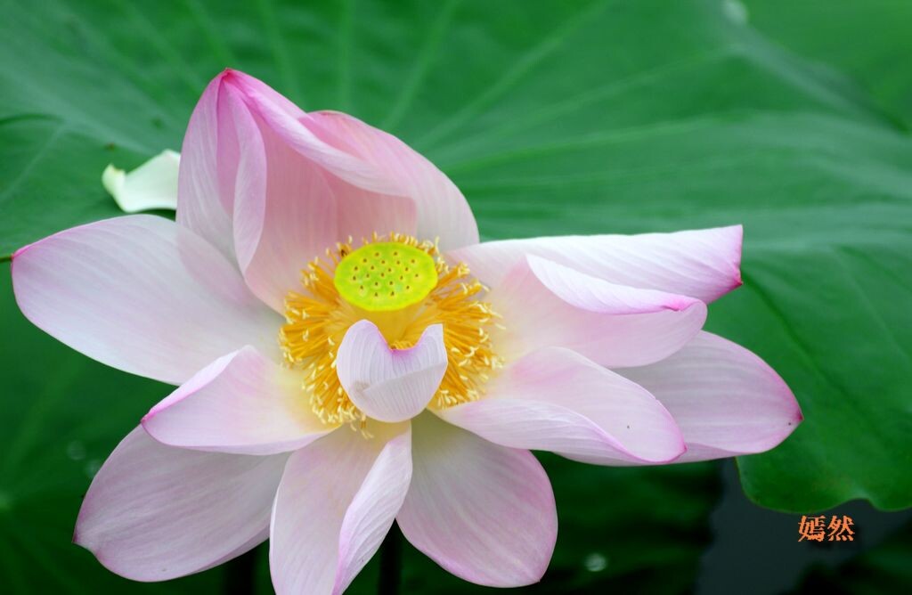 QQͼƬ20140608135549.jpg