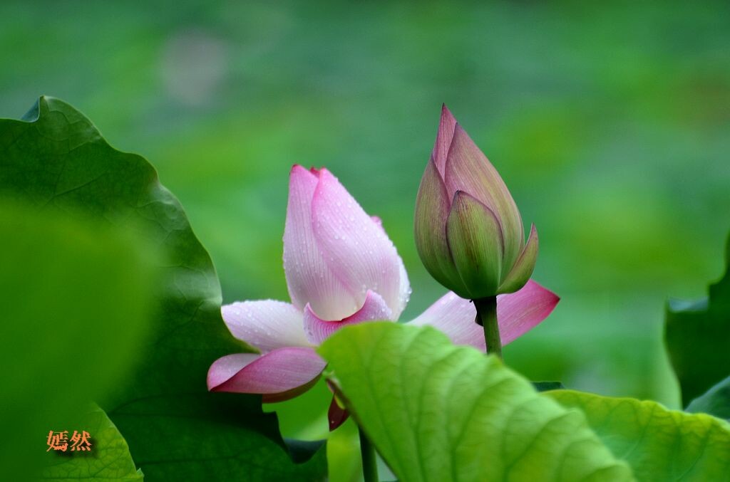 QQͼƬ20140610180725.jpg