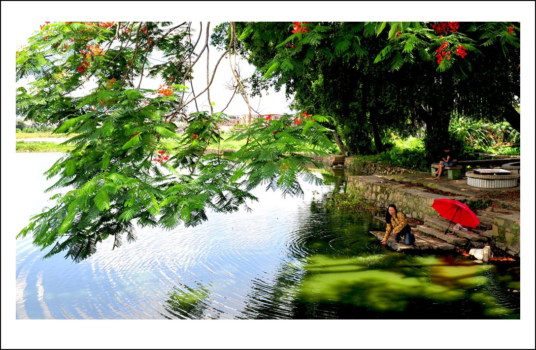 DSC_2272_conew1.jpg