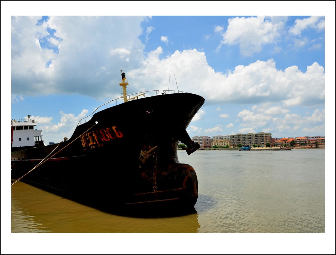 DSC_2379_conew1.jpg
