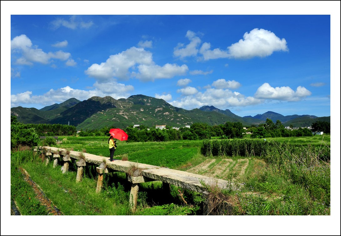 DSC_2473_conew1.jpg