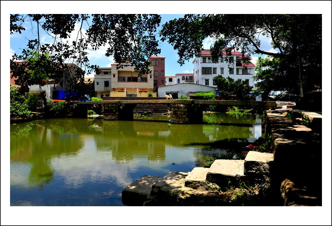 DSC_2363_conew1.jpg