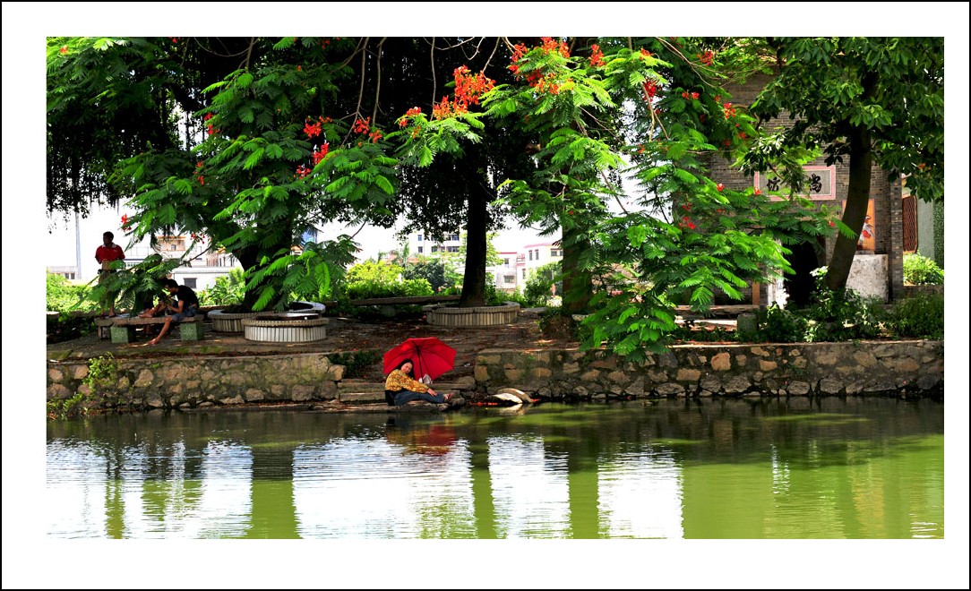 DSC_2277_conew1.jpg