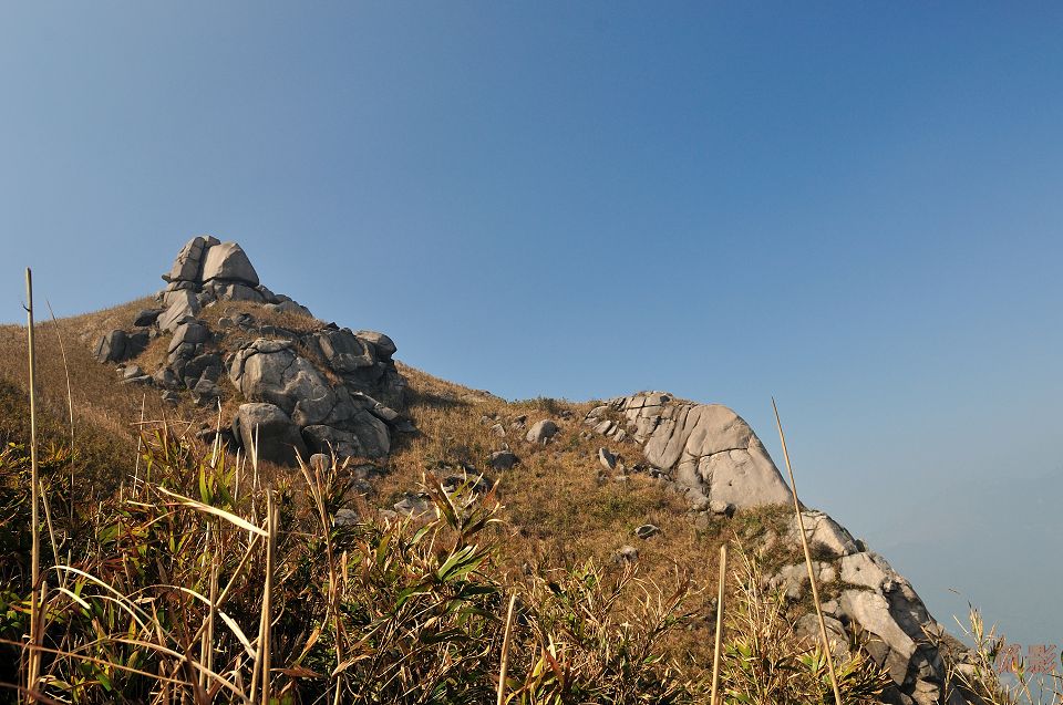 DSC_4017.jpg