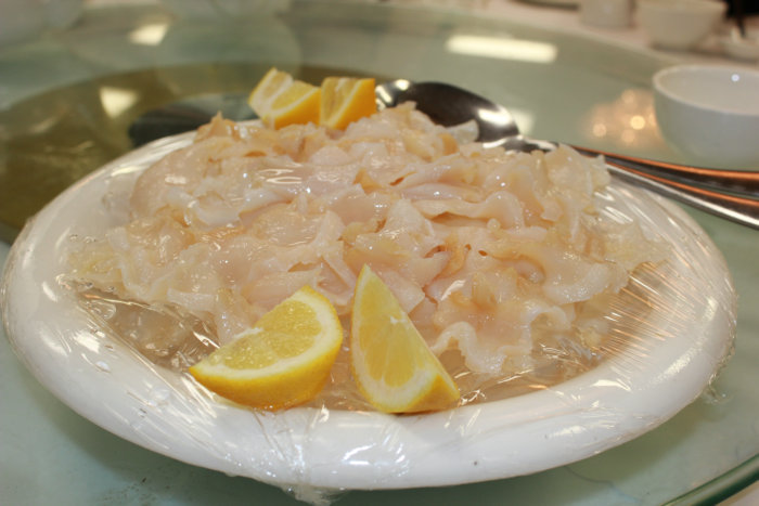 Canon's T2i 167_1.JPG