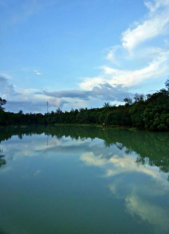 20140712_190419.jpg