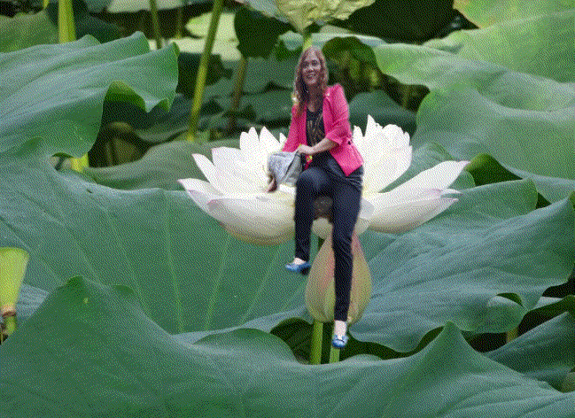 l.gifͼ.gif