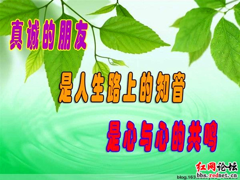 201307wh7mmeeihj3ni7fk.jpg.thumb_.jpg