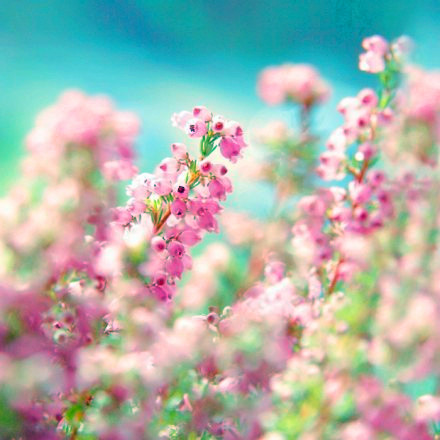 90682fce7bb537e18f950e9fb3f759a5f5134fc88fcc-Ua2ZCf_fw658_.jpg
