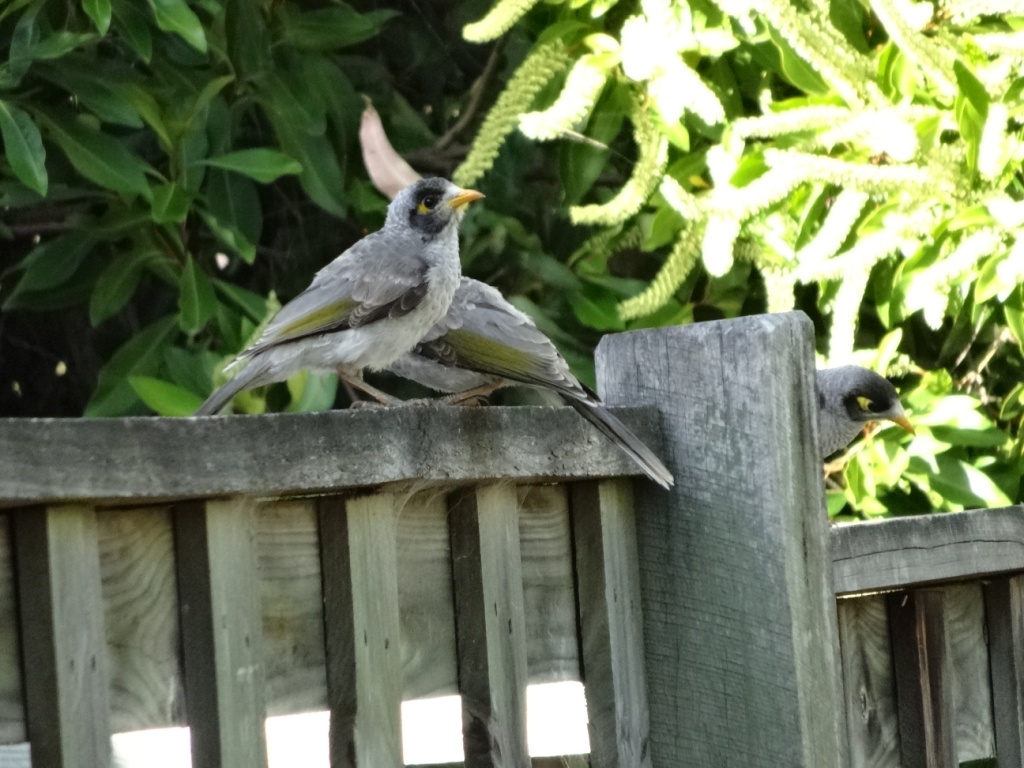 DSC00260.JPG