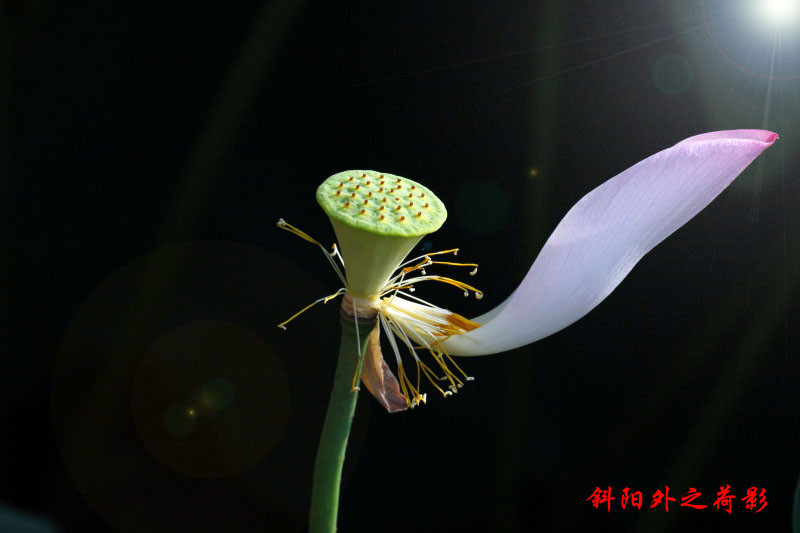 _MG_50182014--6-15_.jpg