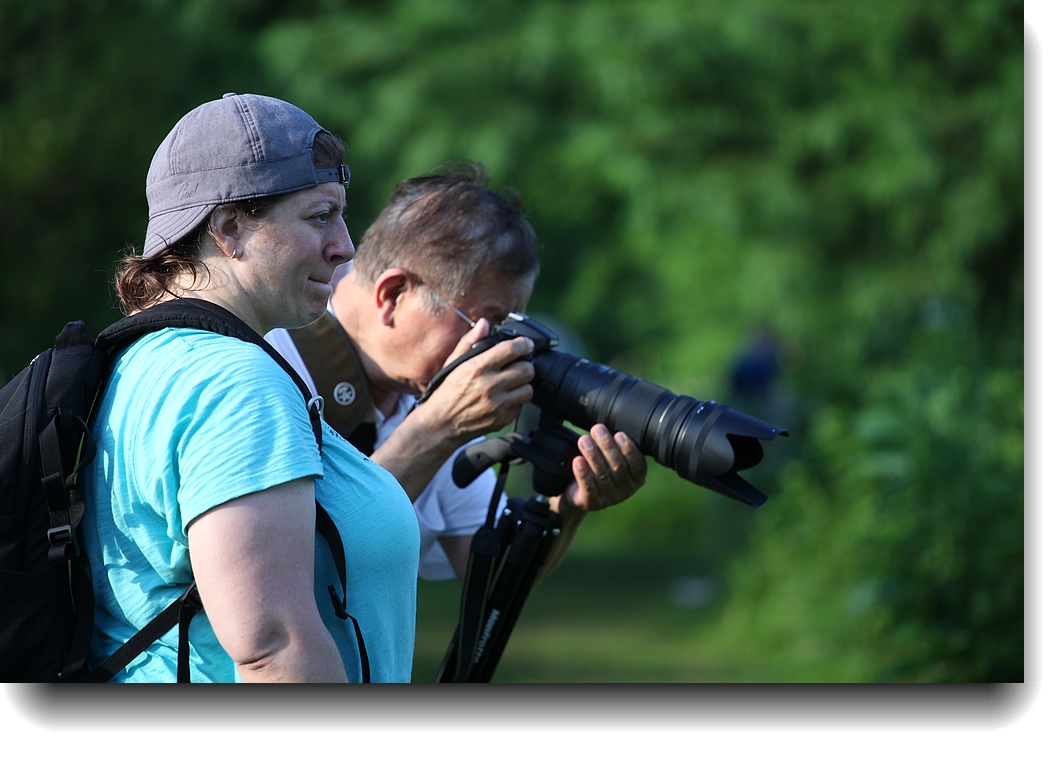 IMG_6448a.jpg