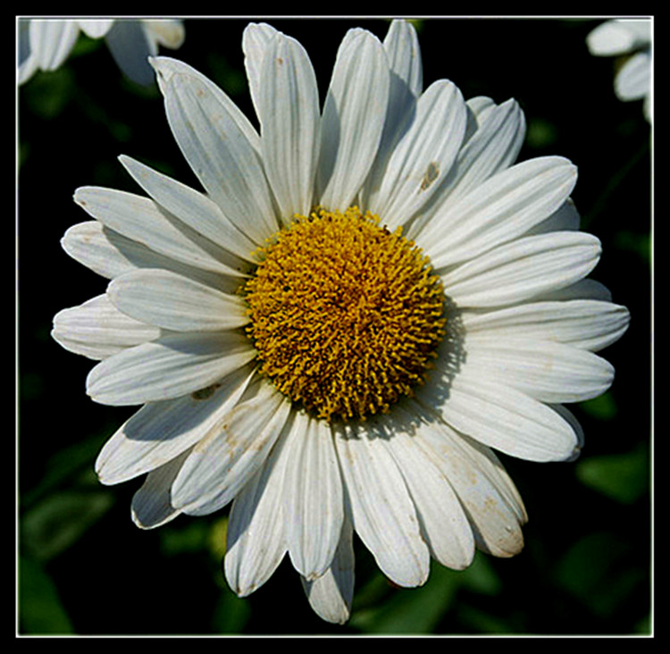 DSC_0161__.jpg