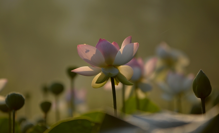 086_.jpg