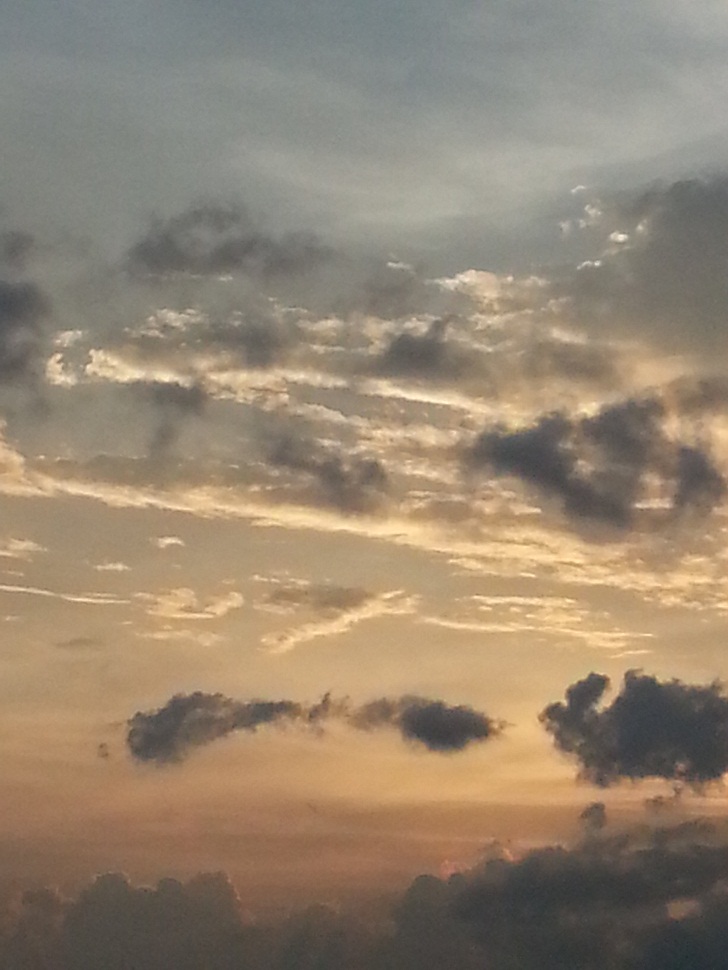 20140726_061155.jpg