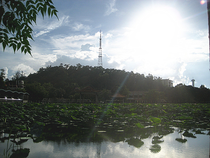 02.jpg