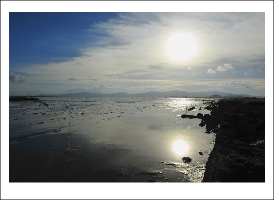 DSC_7989_conew1.jpg