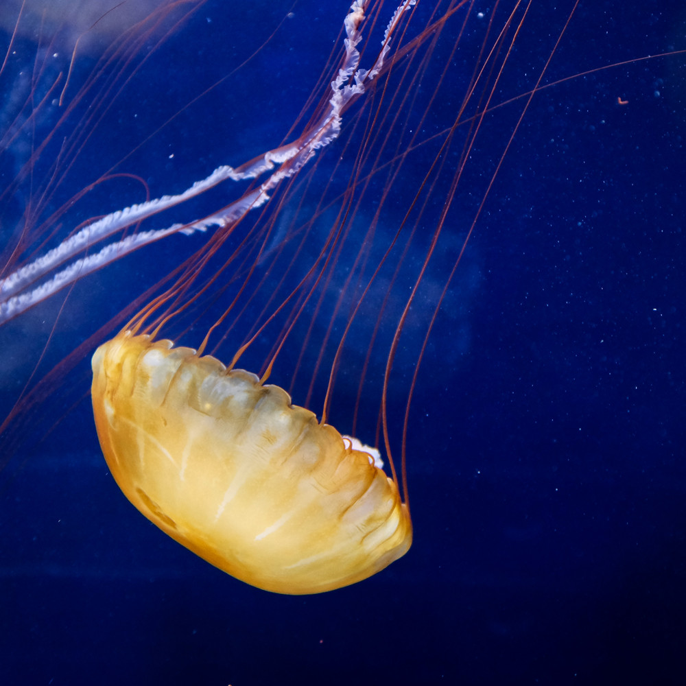 S0844377_42.jpg