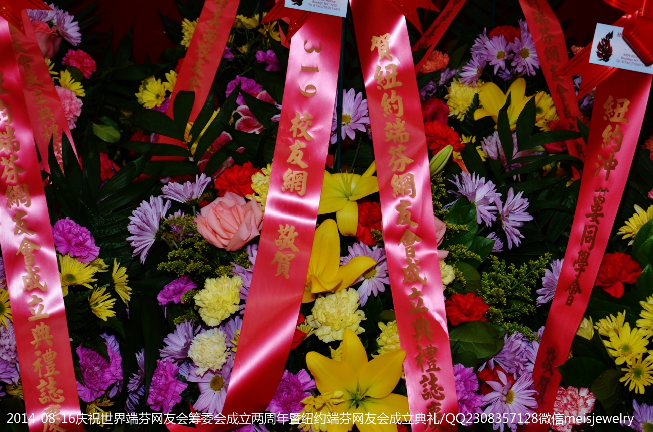 DSC_2066 (1300x860).jpg