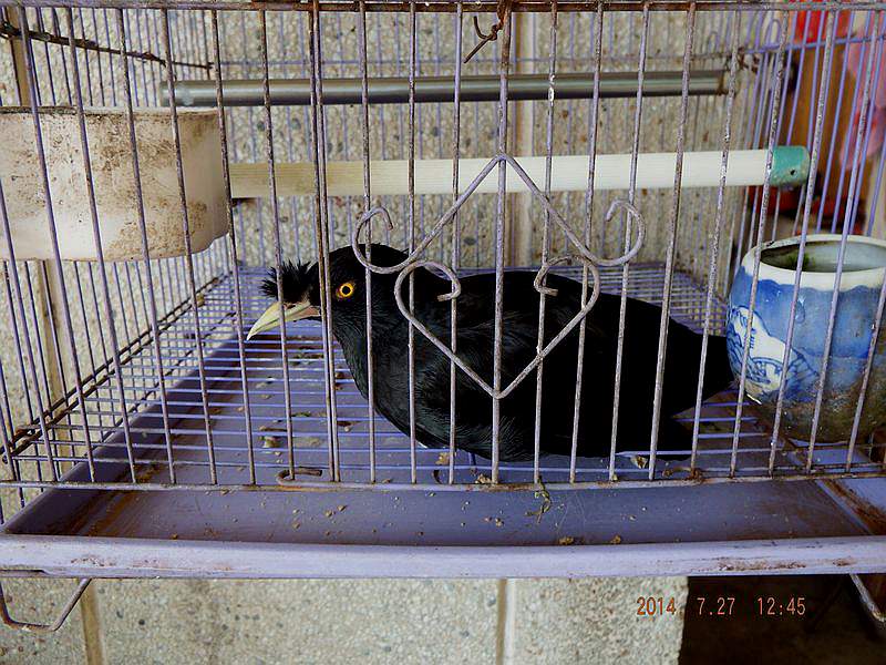 DSCF1635.jpg