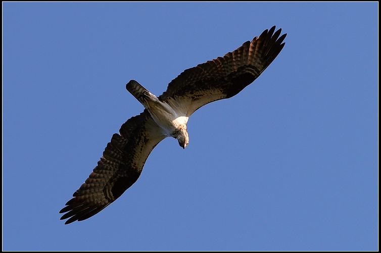 DSC_3955.JPG